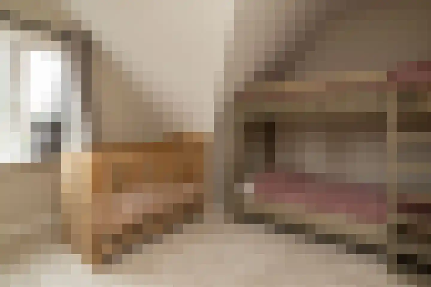 Veenweg 28 Elspeet thumbnail 37