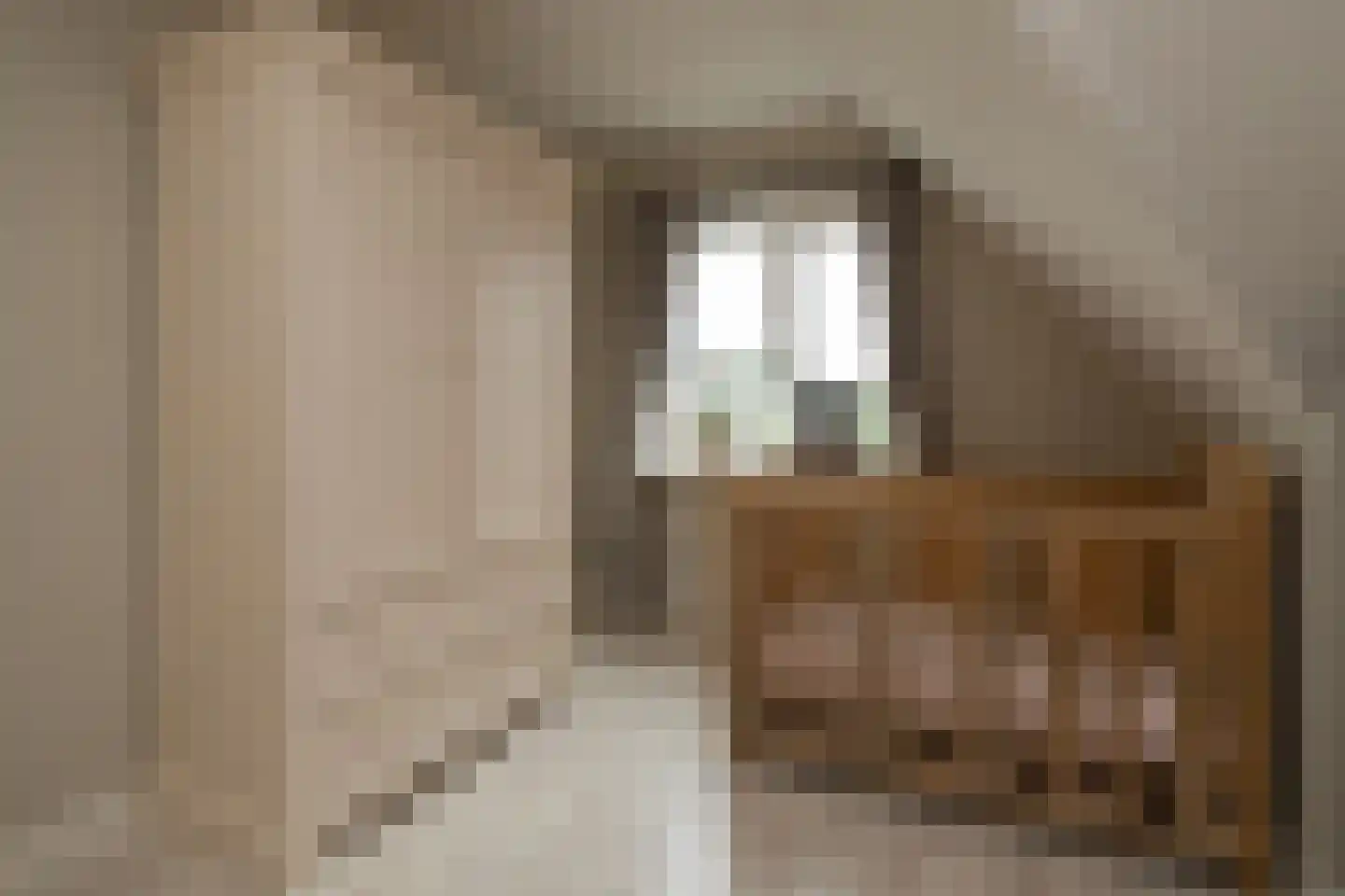 Veenweg 28 Elspeet thumbnail 38