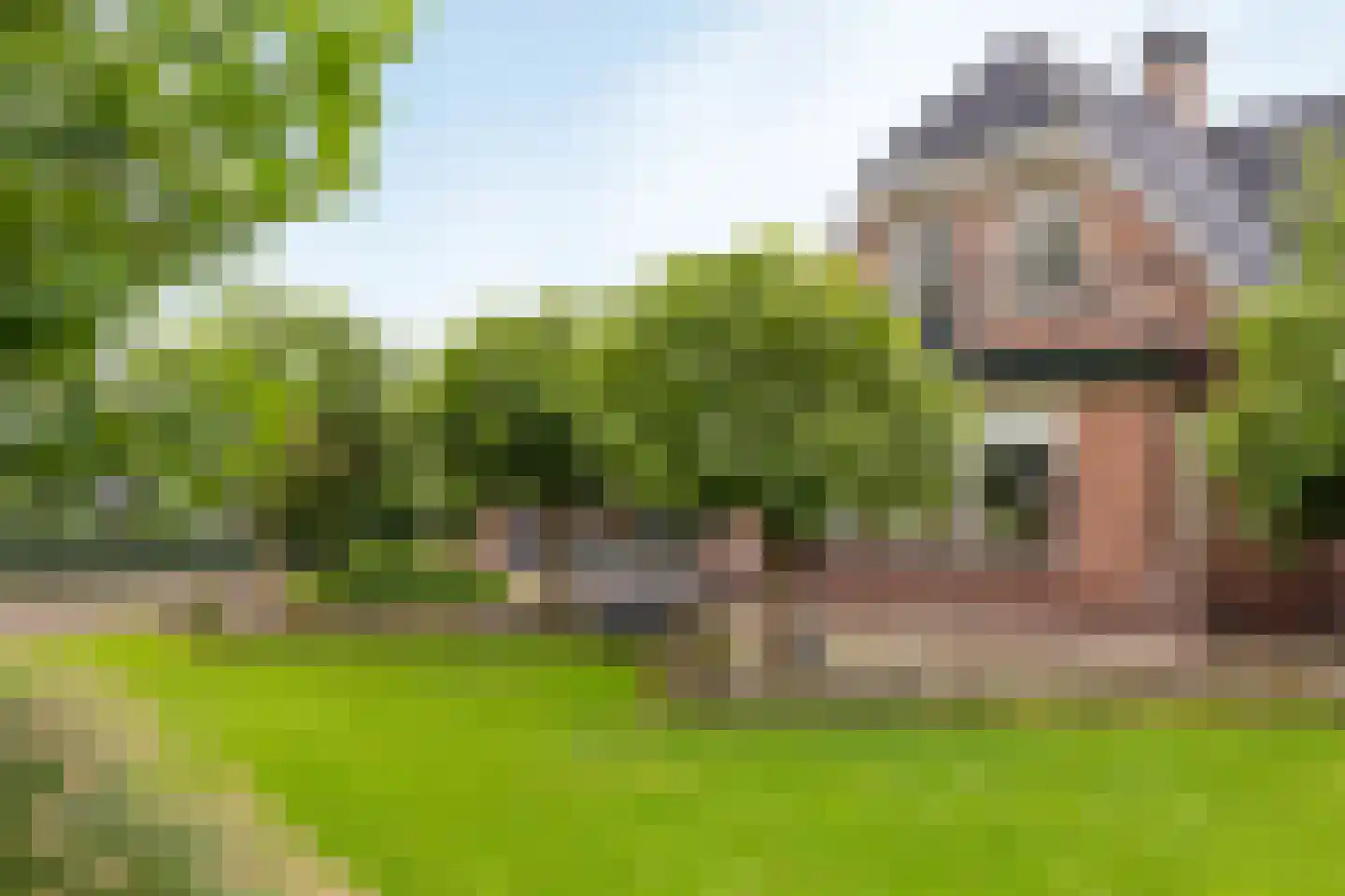Veenweg 28 Elspeet thumbnail 5