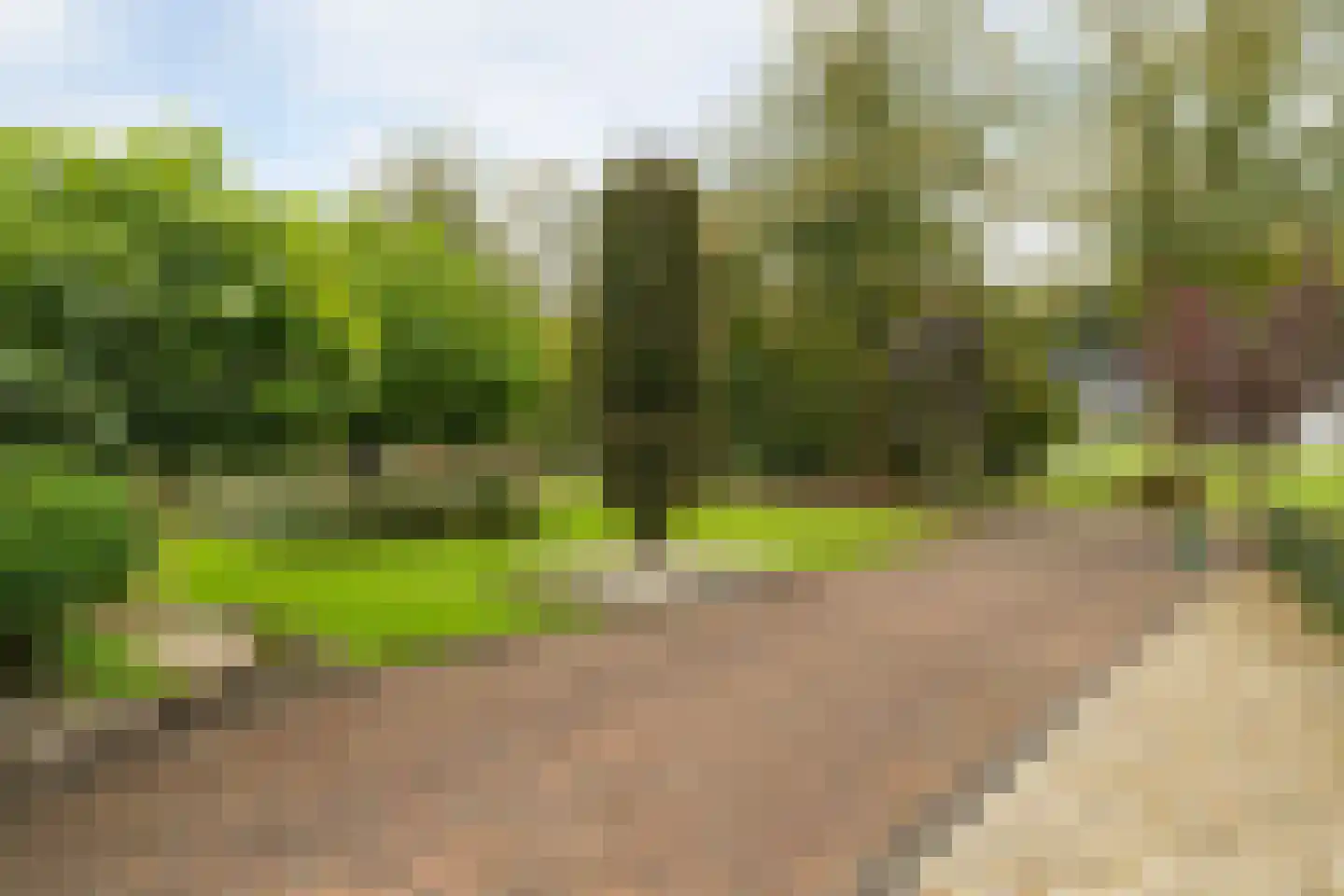 Veenweg 28 Elspeet thumbnail 7