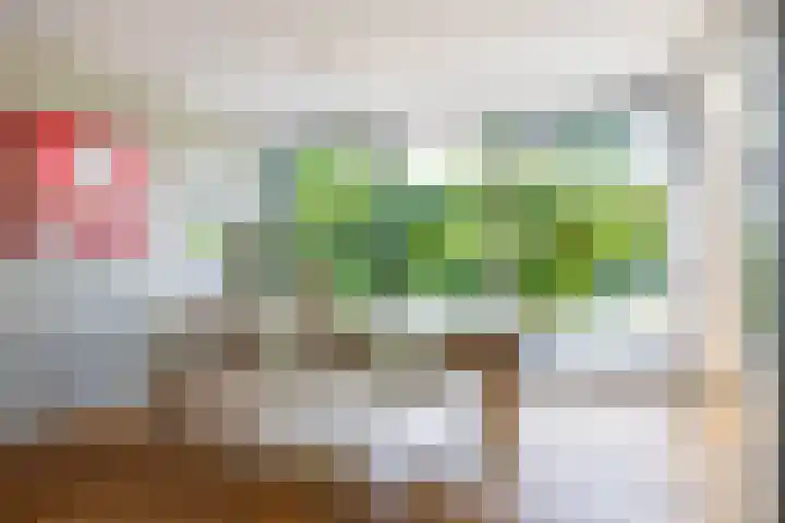 Veenweg 29 a Groningen thumbnail 21