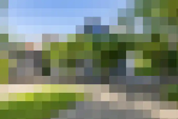 Veenweg 29 a Groningen thumbnail 26