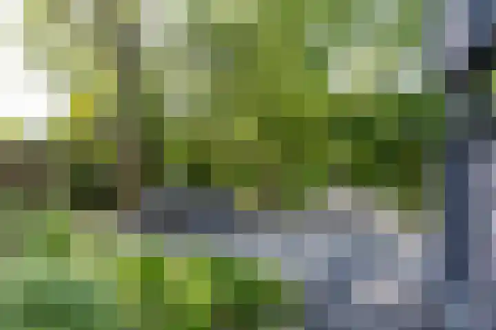 Veenweg 29 a Groningen thumbnail 28