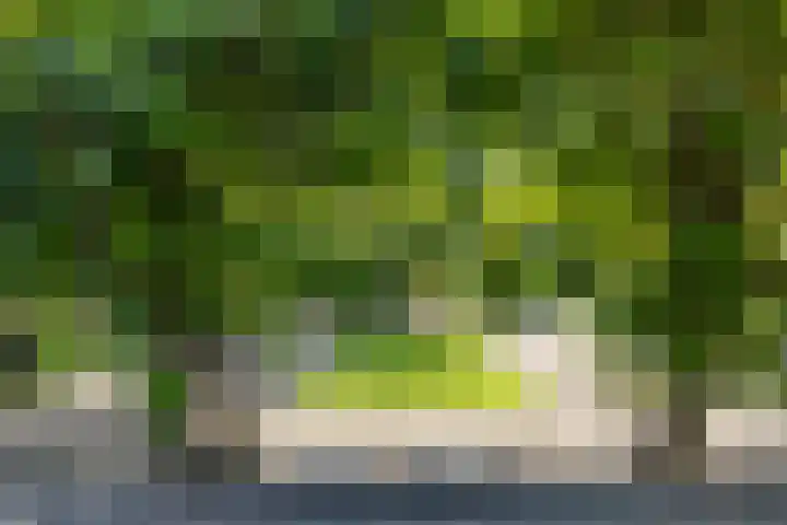 Veenweg 29 a Groningen thumbnail 29