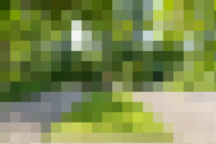 Veenweg 29 a Groningen thumbnail 30