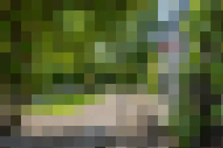 Veenweg 29 a Groningen thumbnail 31
