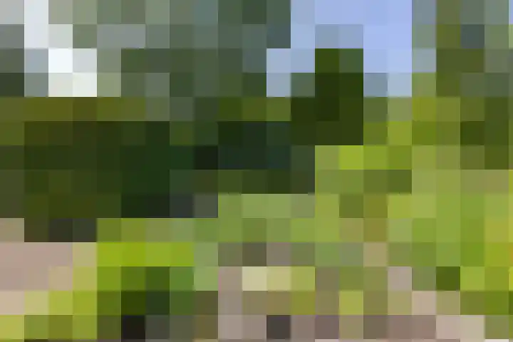 Veenweg 29 a Groningen thumbnail 32