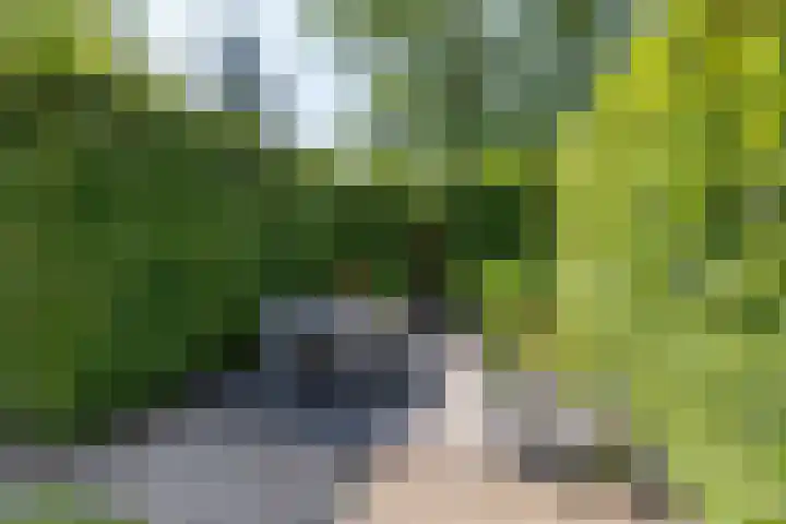 Veenweg 29 a Groningen thumbnail 33
