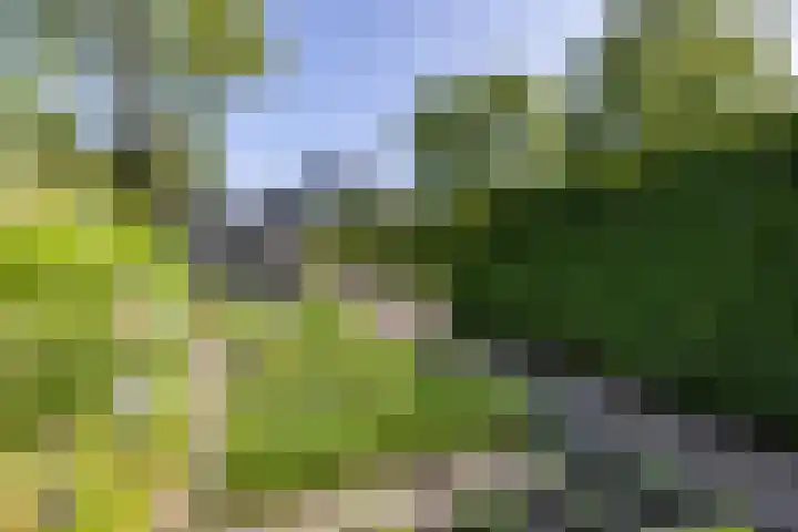 Veenweg 29 a Groningen thumbnail 34