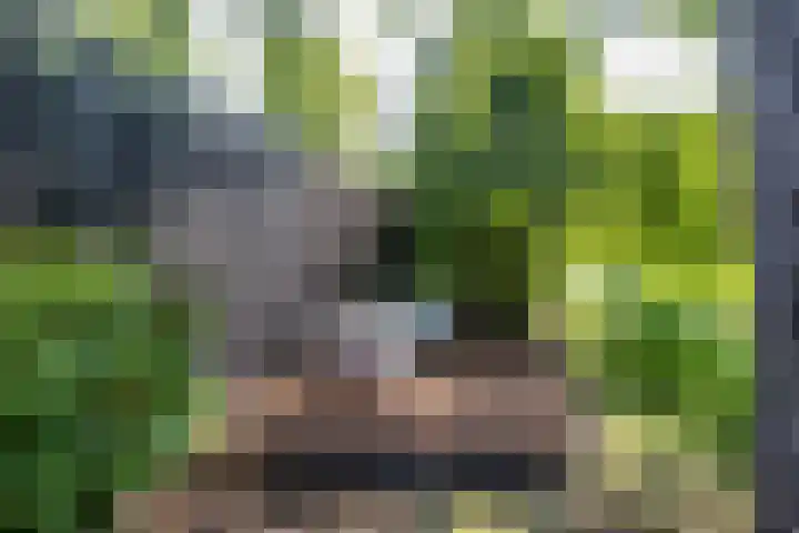 Veenweg 29 a Groningen thumbnail 36