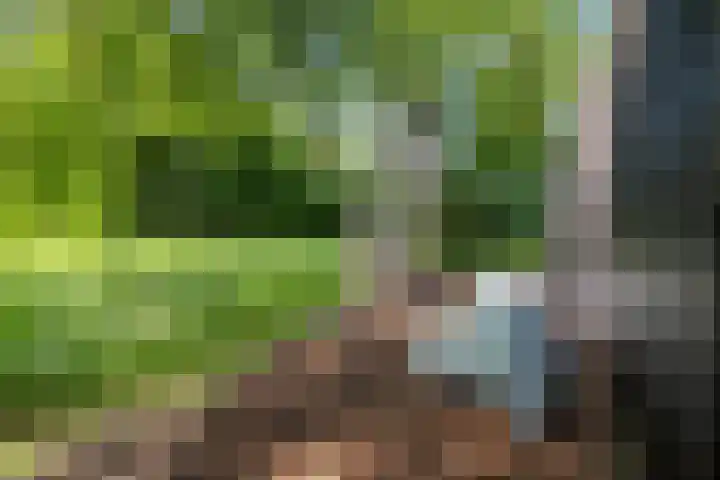 Veenweg 29 a Groningen thumbnail 37