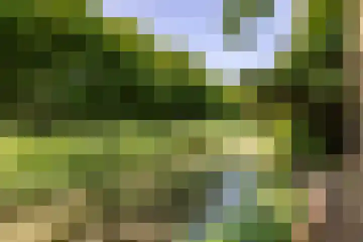 Veenweg 29 a Groningen thumbnail 38