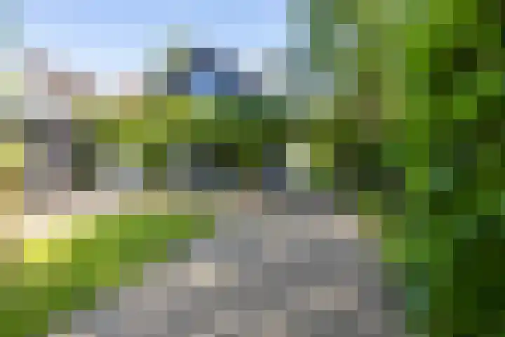 Veenweg 29 a Groningen thumbnail 39