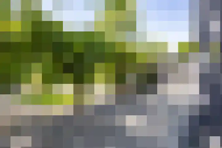 Veenweg 29 a Groningen thumbnail 4