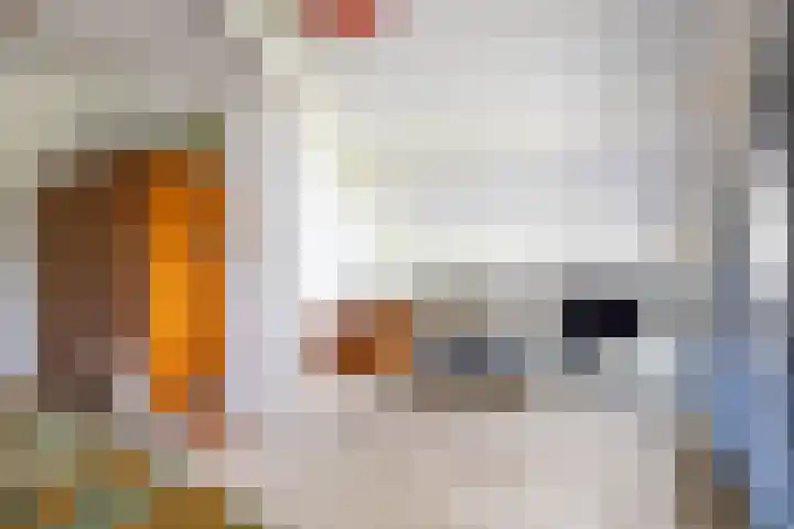 Veenweg 29 a Groningen thumbnail 48