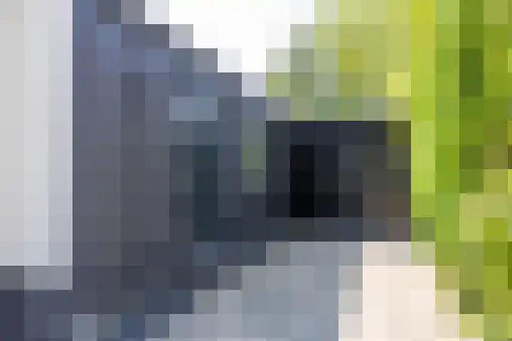 Veenweg 29 a Groningen thumbnail 57