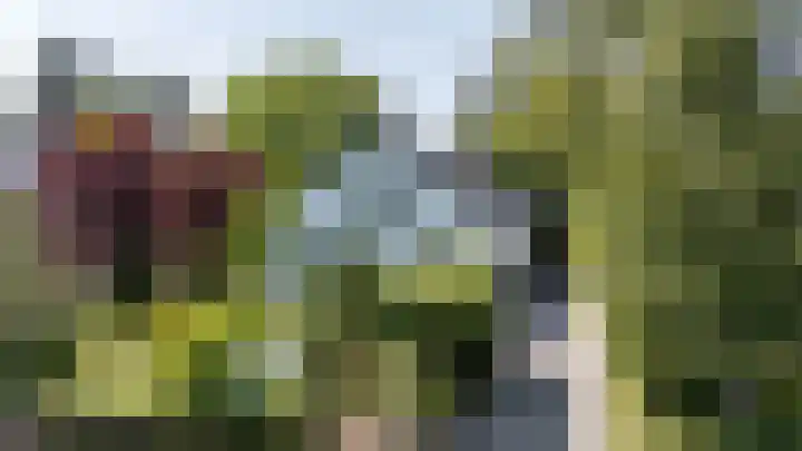 Veenweg 29 a Groningen thumbnail 64