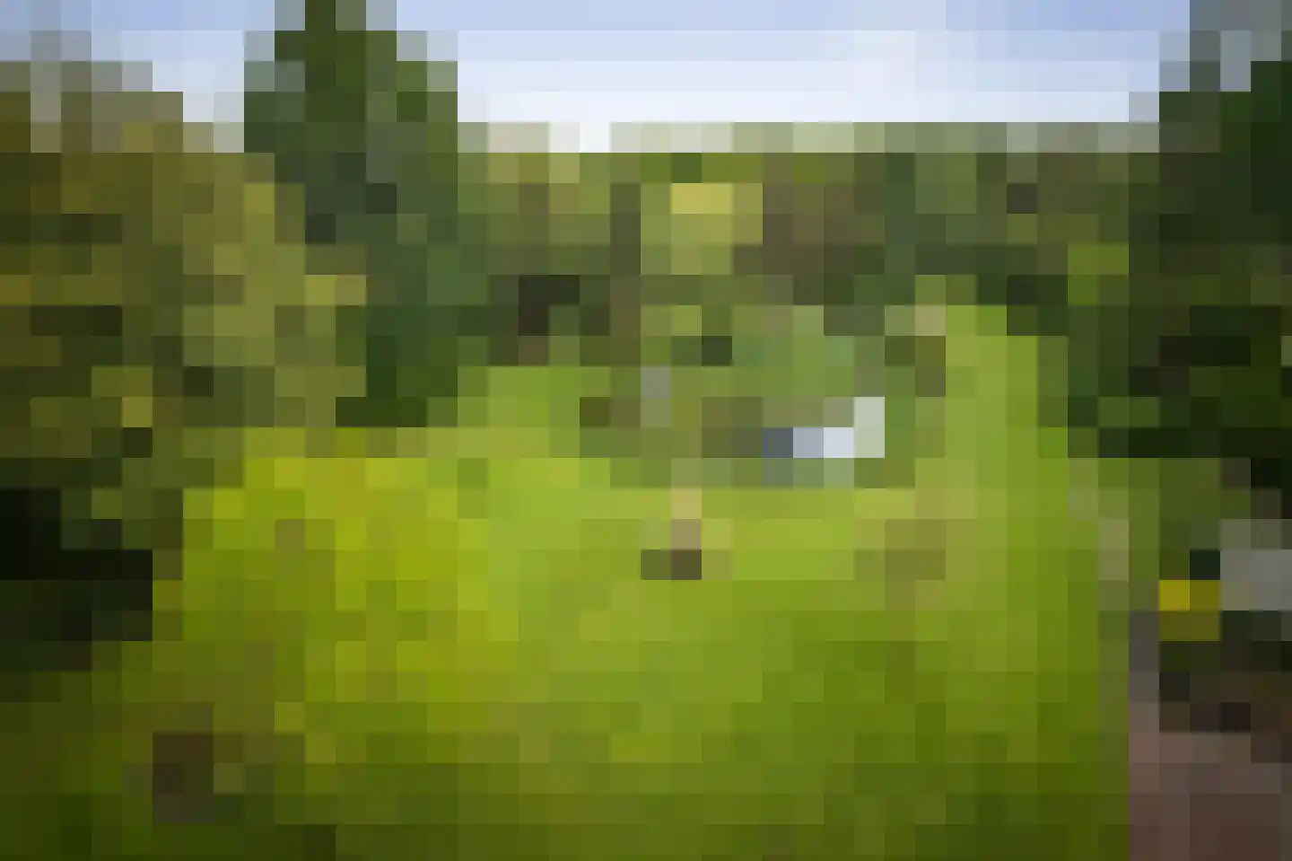 Veenweg 29 Heerde thumbnail 10