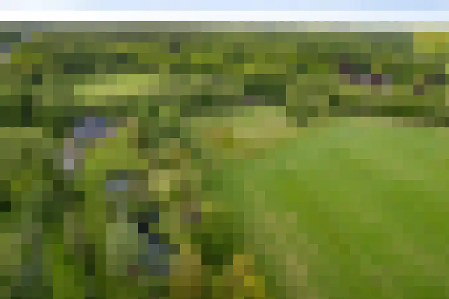 Veenweg 29 Heerde thumbnail 11