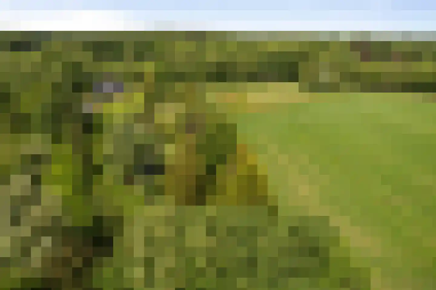 Veenweg 29 Heerde thumbnail 12