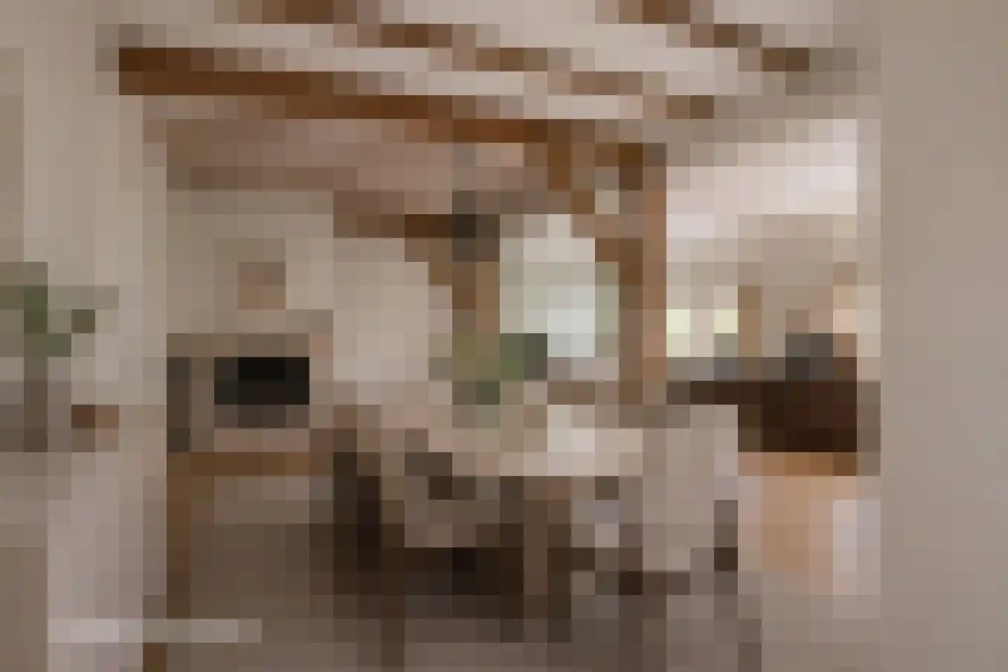 Veenweg 29 Heerde thumbnail 13
