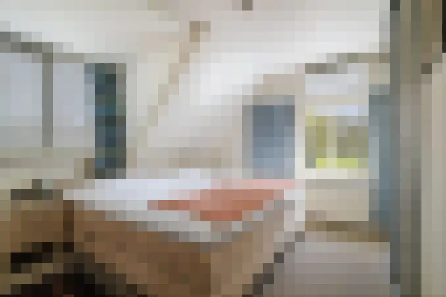 Veenweg 29 Heerde thumbnail 27