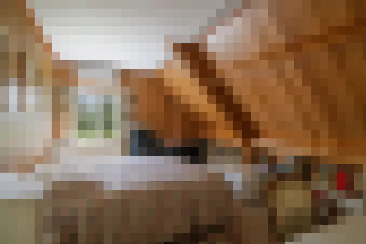 Veenweg 29 Heerde thumbnail 30