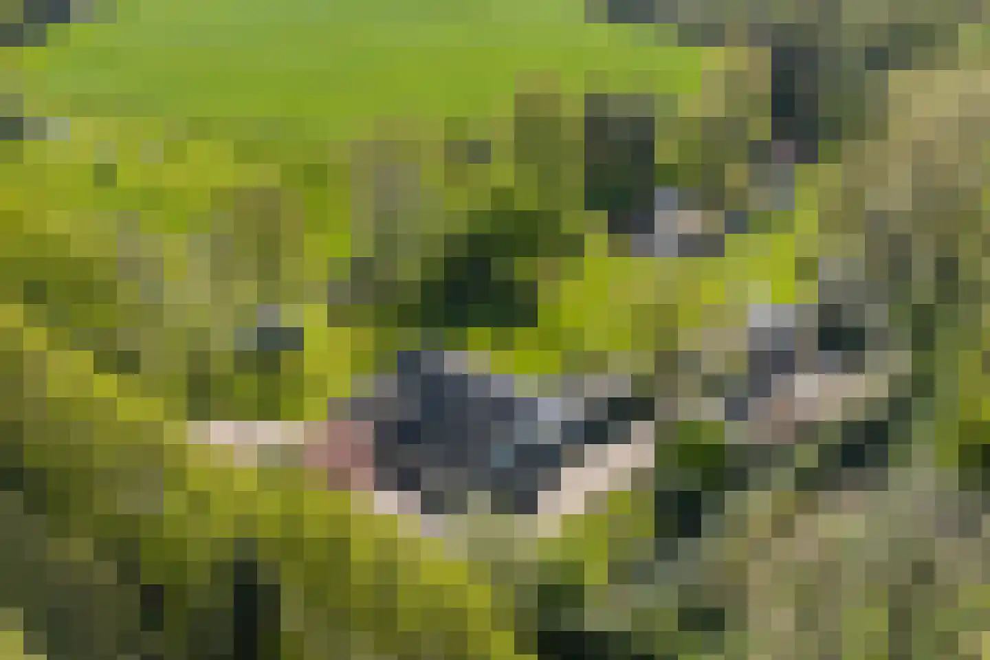 Veenweg 29 Heerde thumbnail 33