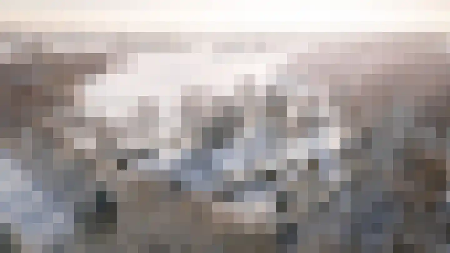 Veenweg 29 Heerde thumbnail 4