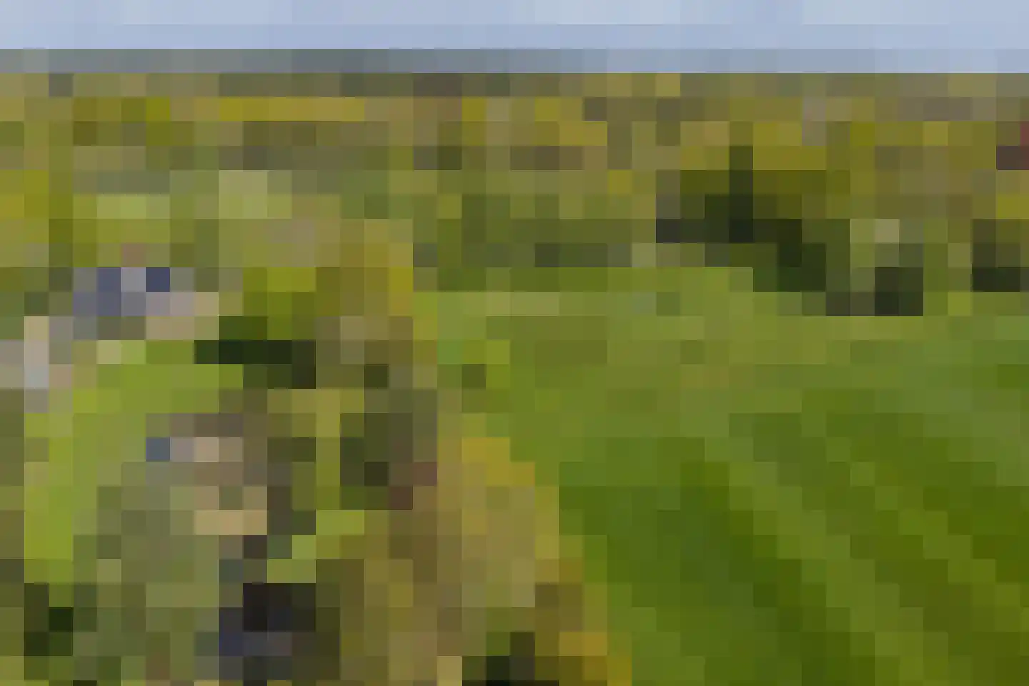 Veenweg 29 Heerde thumbnail 4