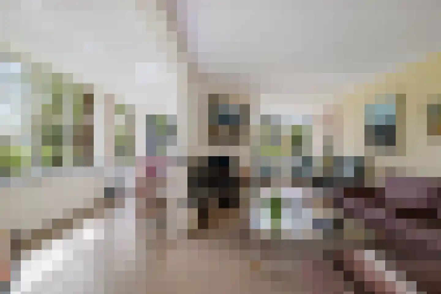 Veenweg 29 Heerde thumbnail 5