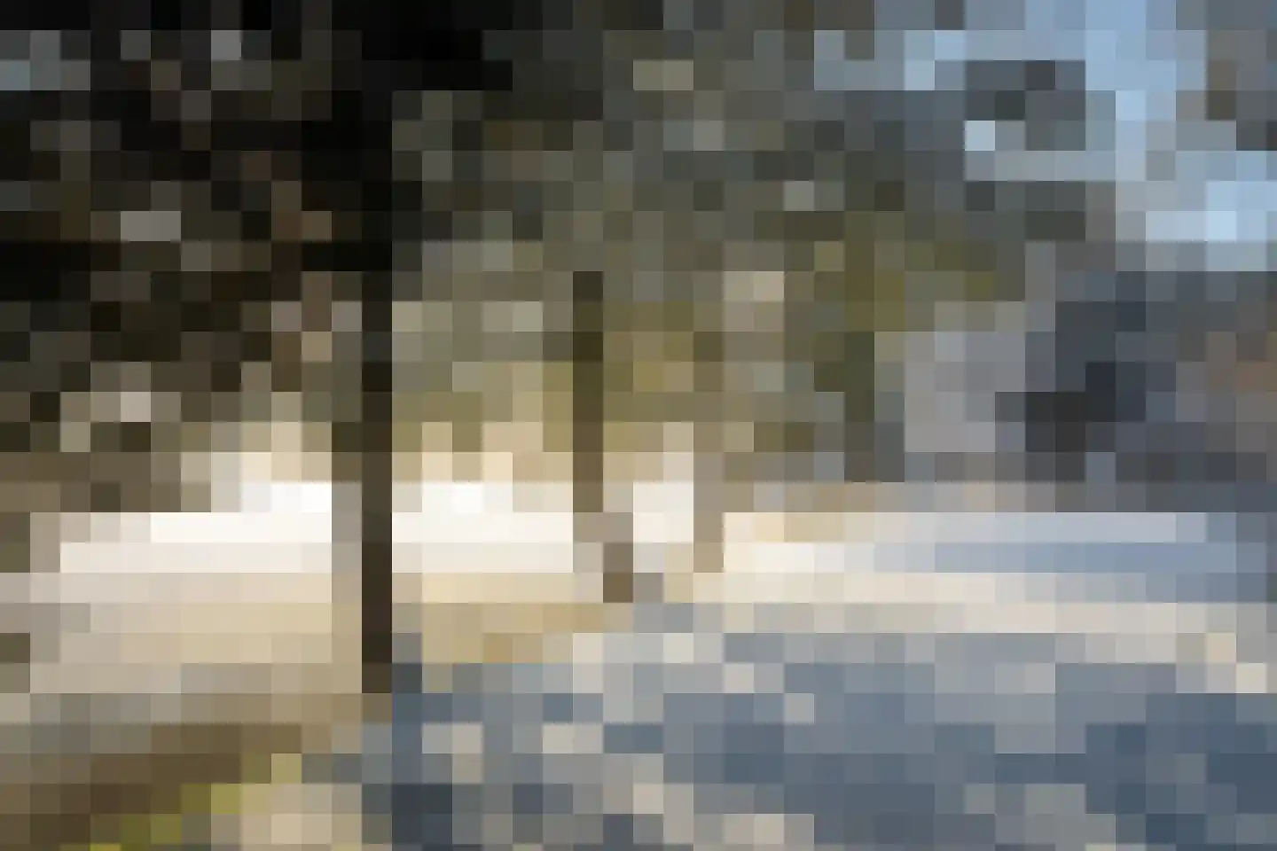 Veenweg 29 Heerde thumbnail 5