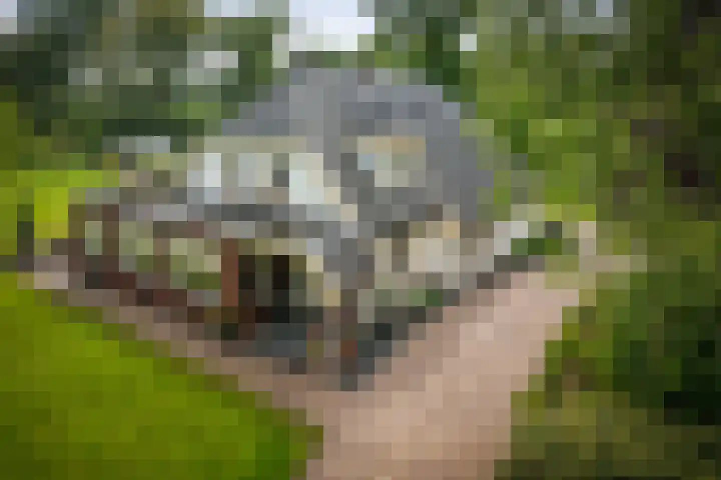 Veenweg 29 Heerde thumbnail 7