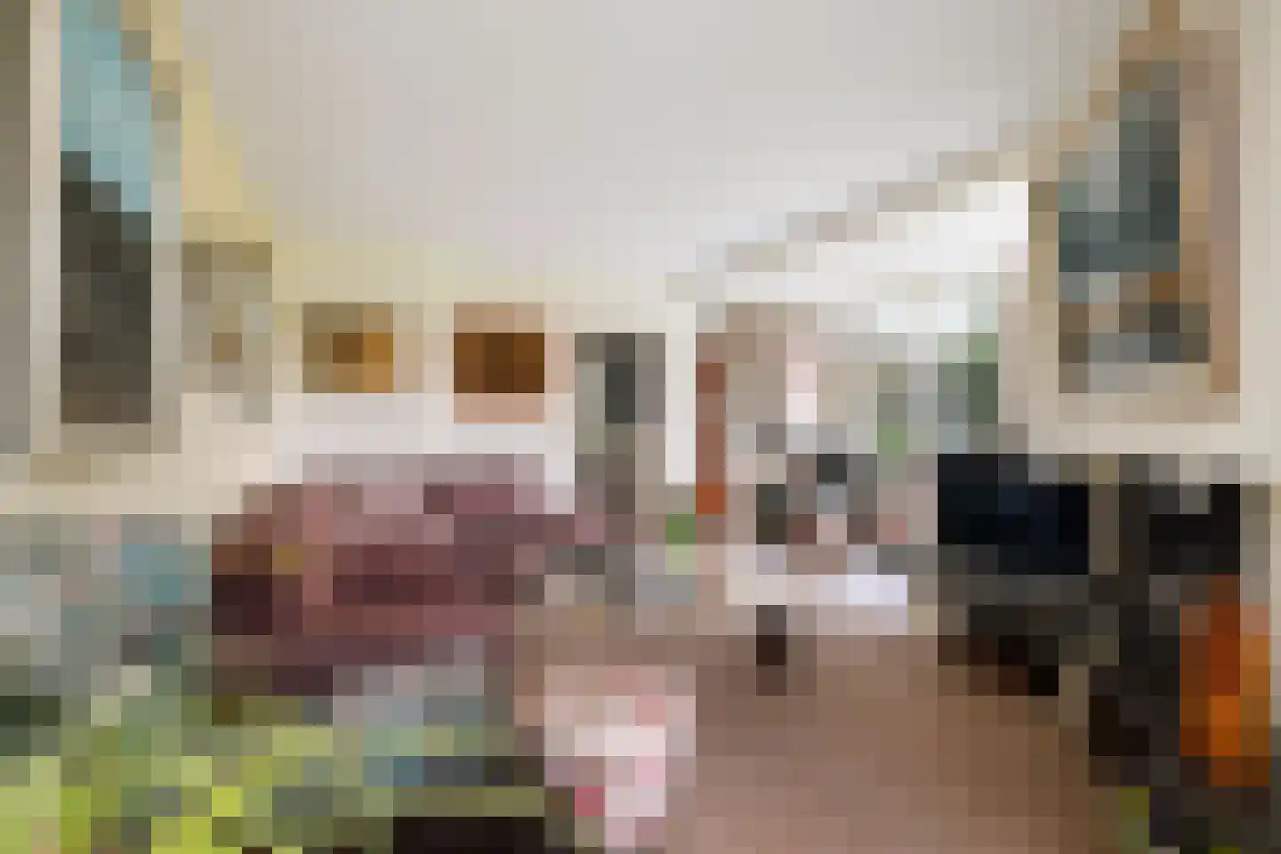 Veenweg 29 Heerde thumbnail 8