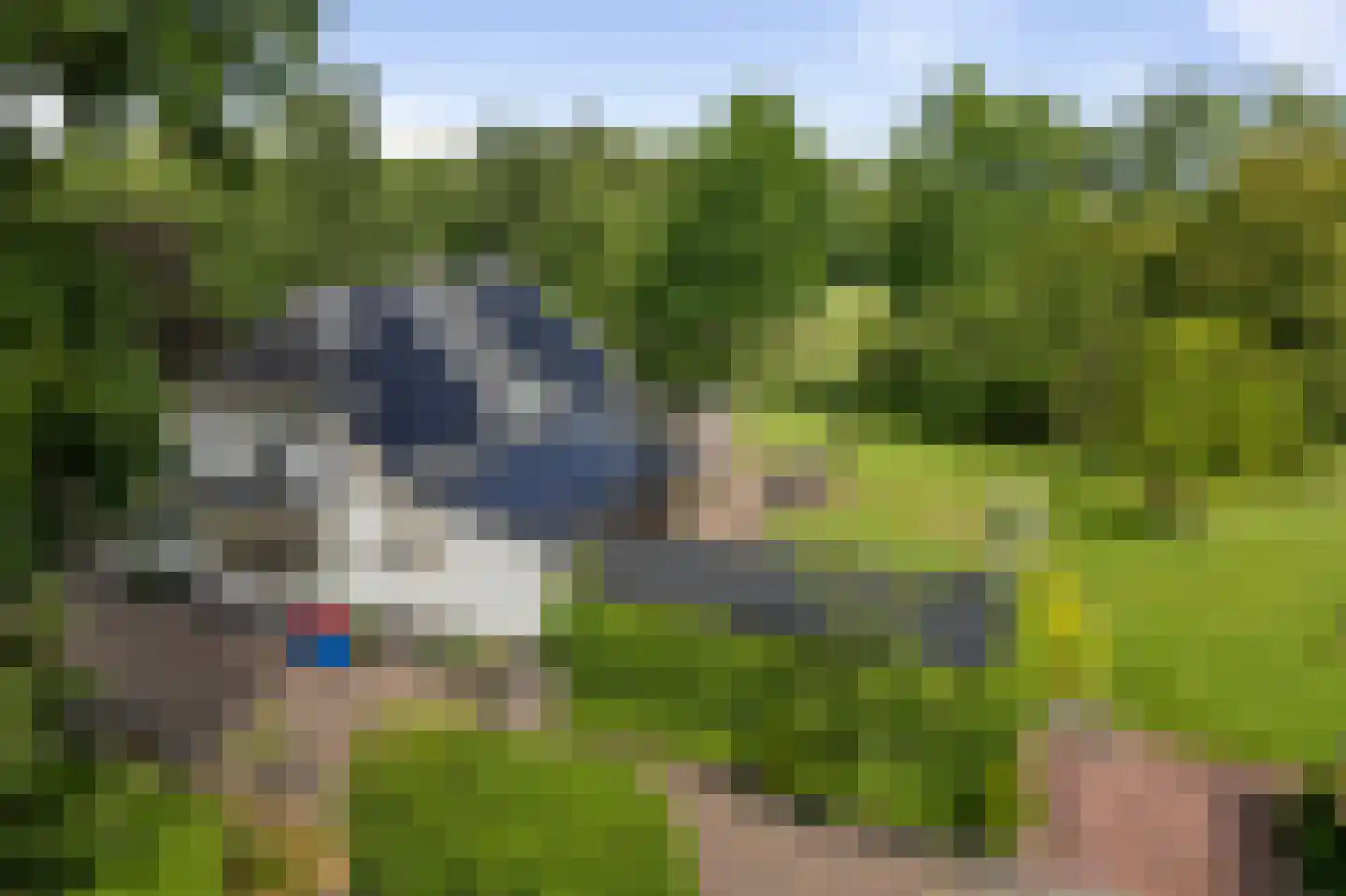 Veenweg 29 Heerde thumbnail 9
