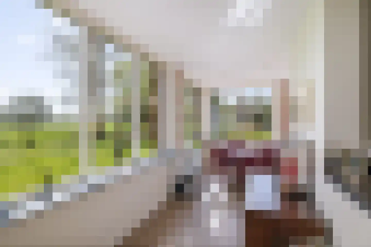 Veenweg 29 Heerde thumbnail 9