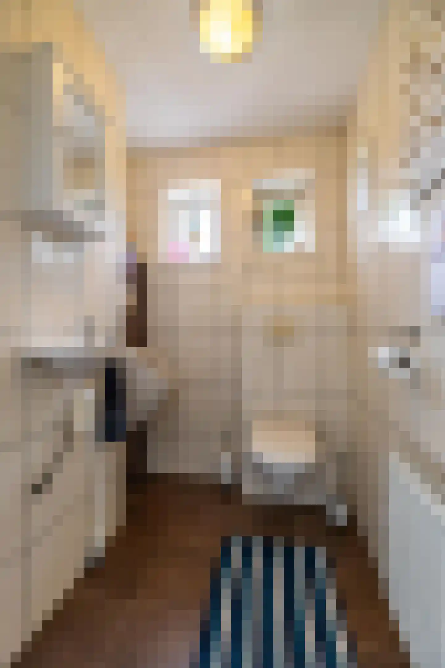 Veenweg 3 Vries thumbnail 14