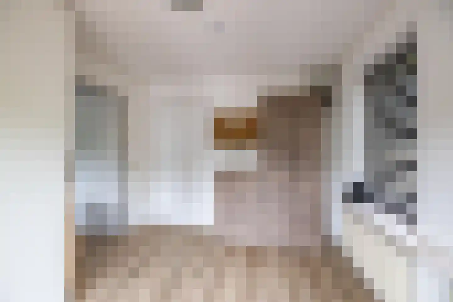 Veenweg 3 Vries thumbnail 17