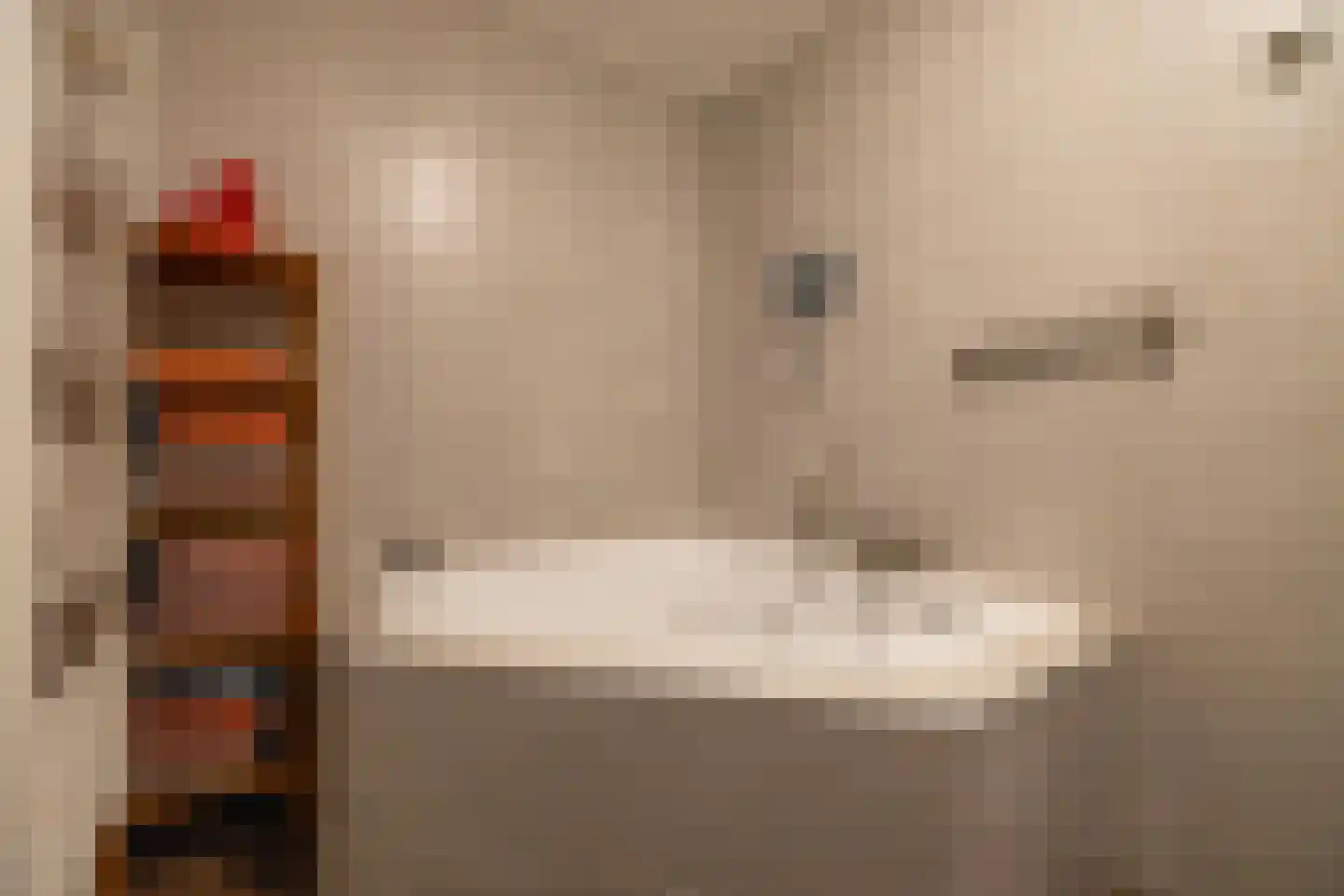 Veenweg 3 Vries thumbnail 21