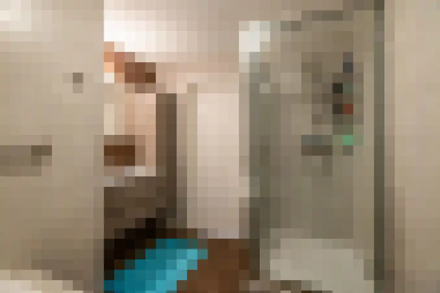 Veenweg 3 Vries thumbnail 22