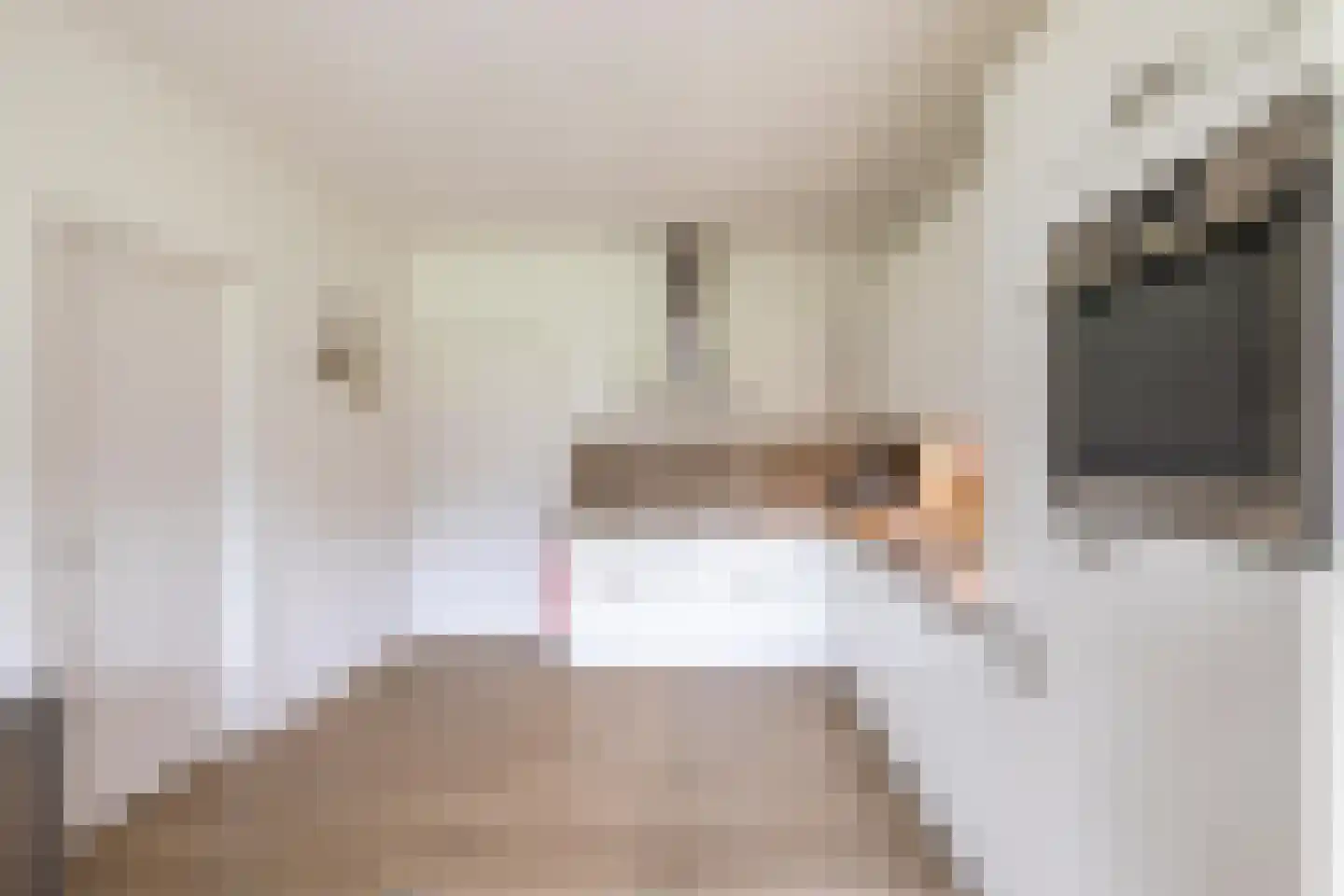 Veenweg 3 Vries thumbnail 30