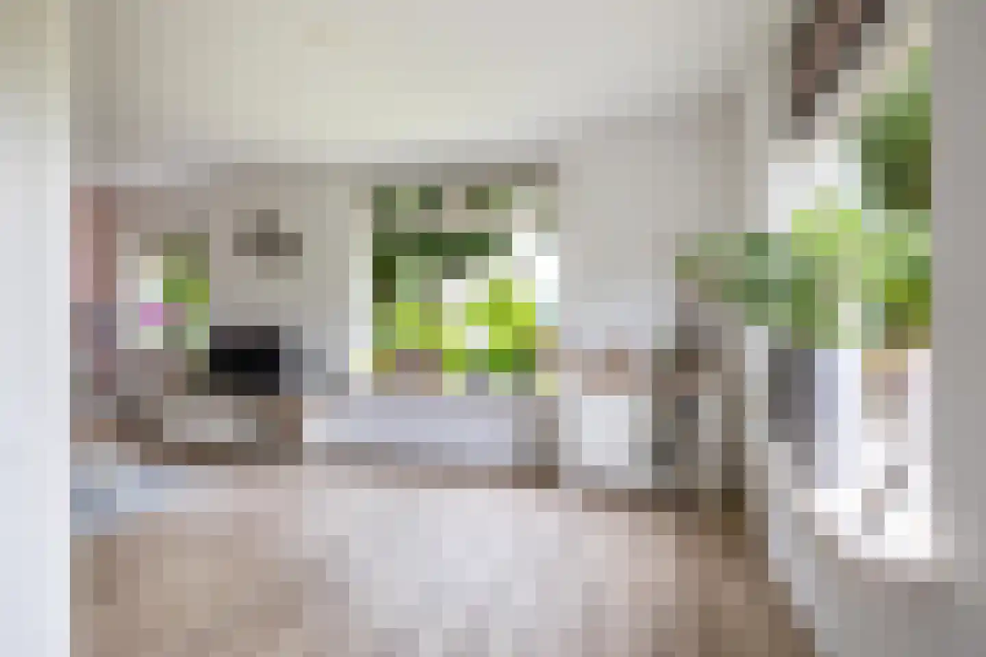 Veenweg 3 Vries thumbnail 33
