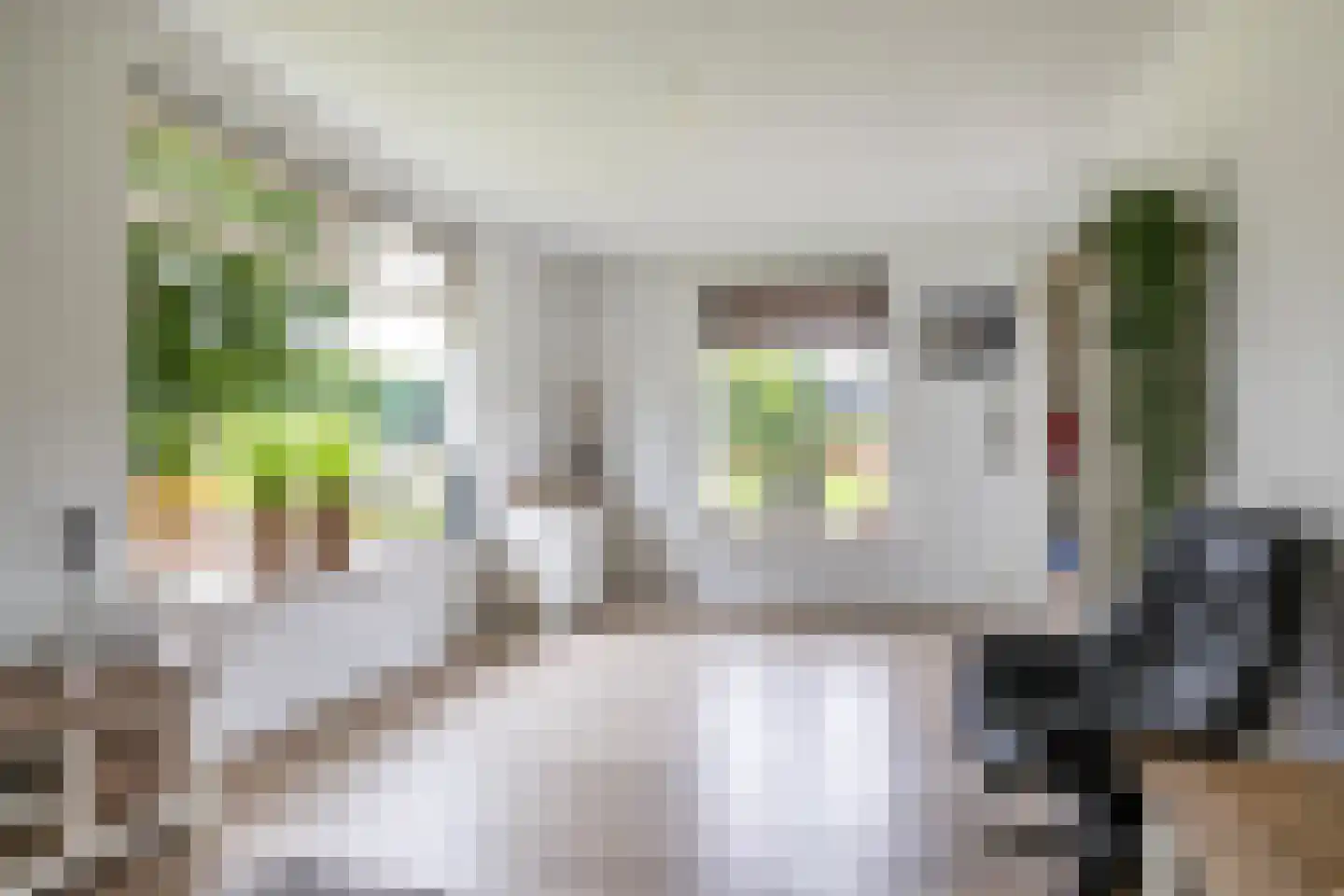 Veenweg 3 Vries thumbnail 38