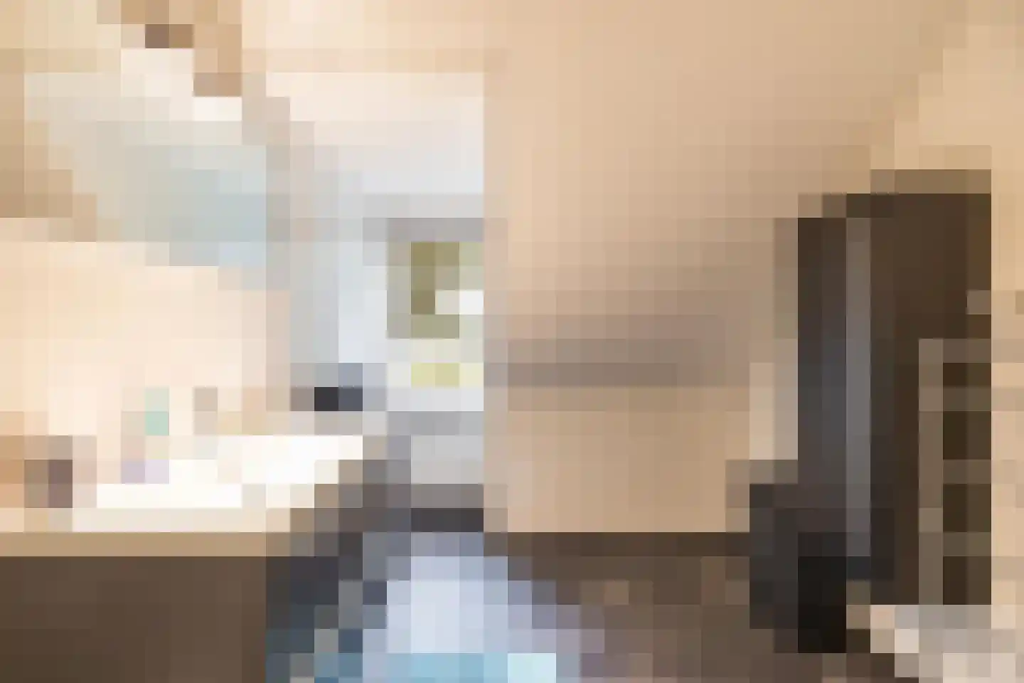 Veenweg 3 Vries thumbnail 4