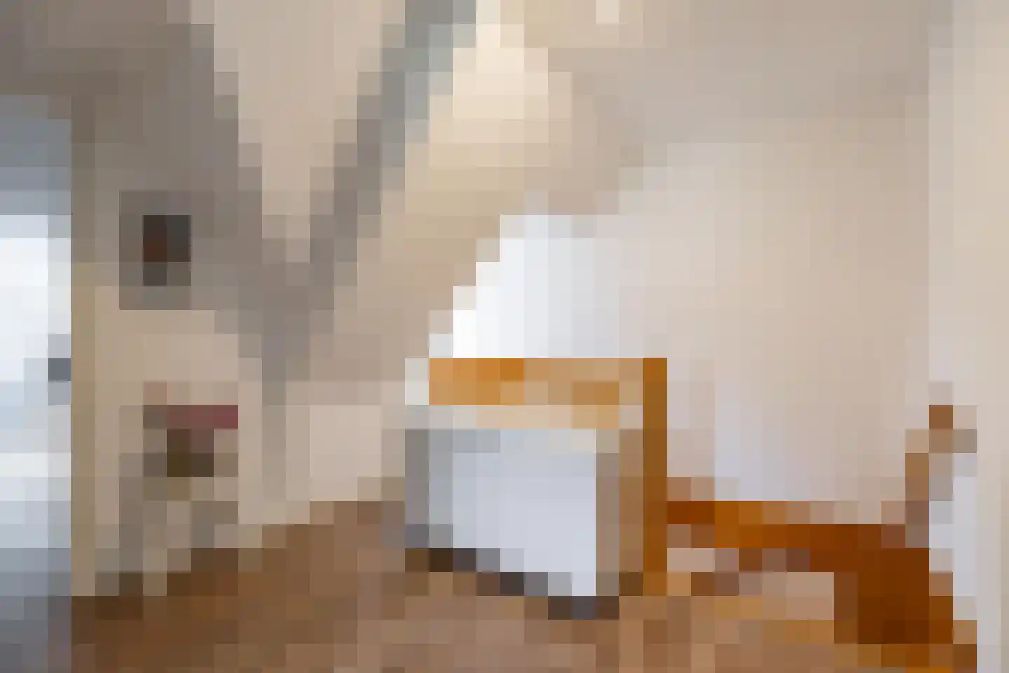 Veenweg 3 Vries thumbnail 41