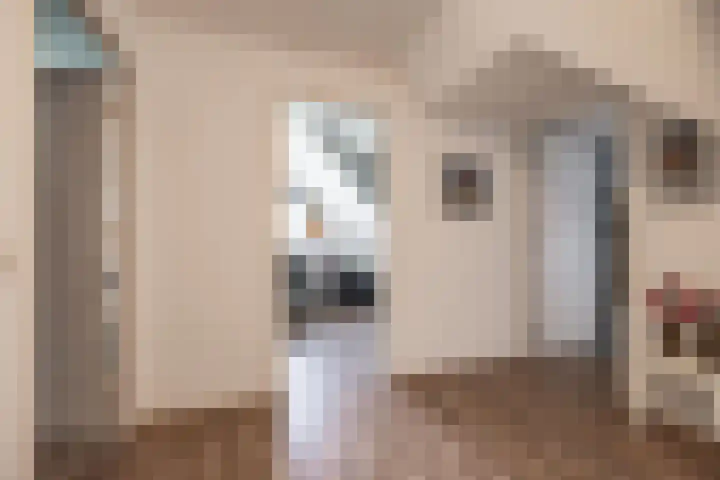Veenweg 3 Vries thumbnail 42