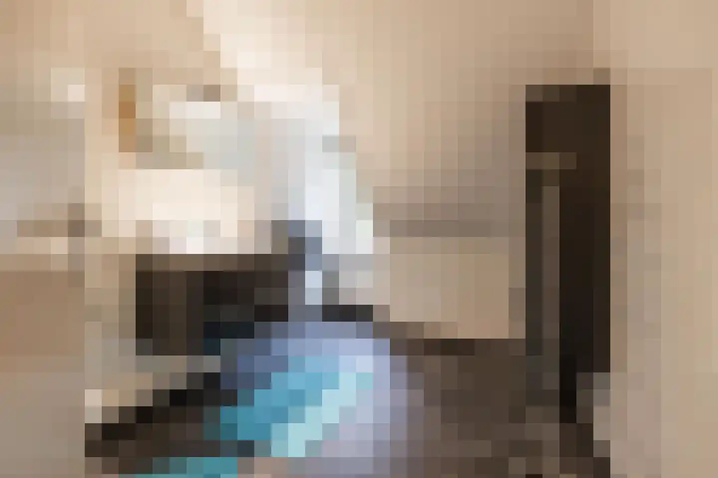 Veenweg 3 Vries thumbnail 43