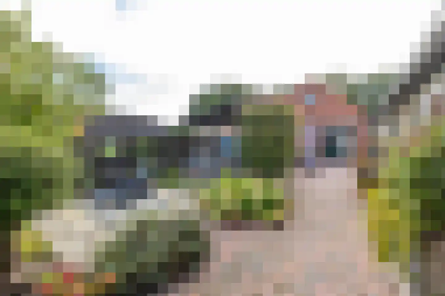 Veenweg 3 Vries thumbnail 63