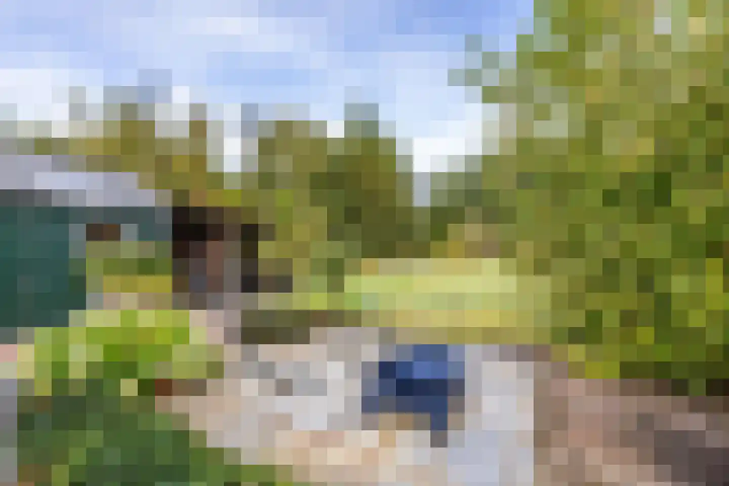 Veenweg 3 Vries thumbnail 69