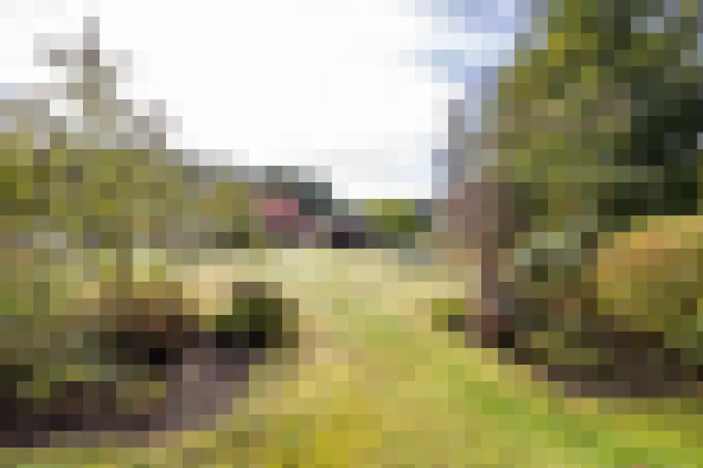 Veenweg 3 Vries thumbnail 7